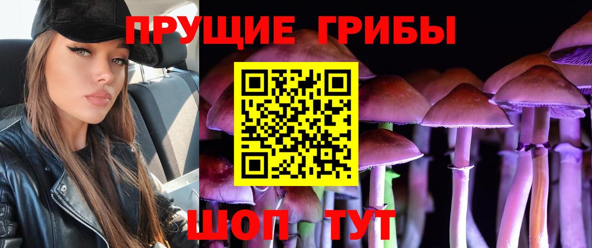 Галлюциногенные грибы ЛСД Новошахтинск